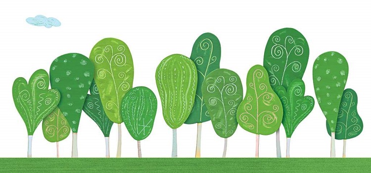 家里摆放这几种植物，立刻提高你家的逼格……