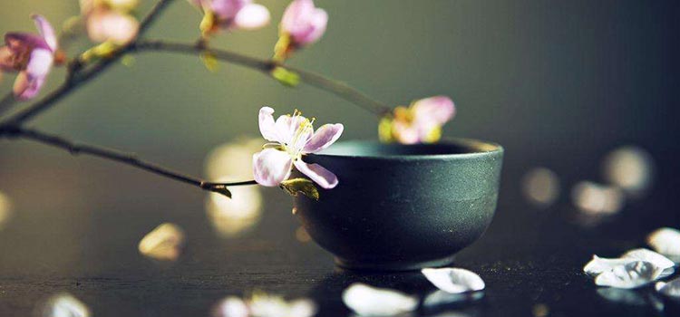 贫血、手脚冰凉怎么办？试试这款养生汤