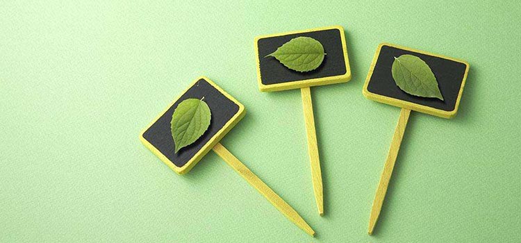 有胃病？坚持吃这几种食物可以养胃