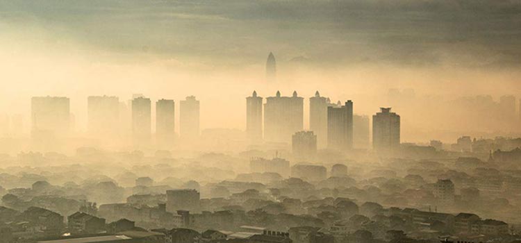 冬季雾霾来袭，我们应该做些什么？