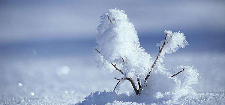 这几个冬季必玩项目你还没有试过？