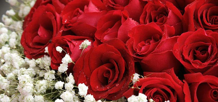 情人节送花原来有这么多讲究？