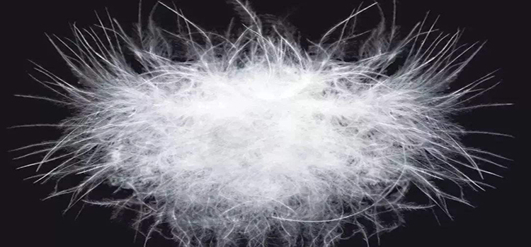 这样清洗羽绒服，让你的羽绒服更“长命”