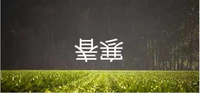别小看倒春寒,可导致心脑血管病