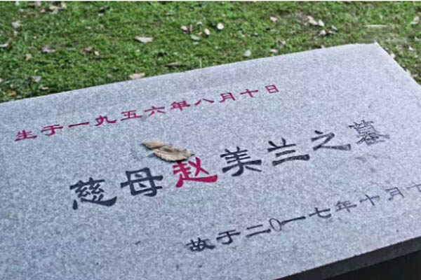 《都挺好》