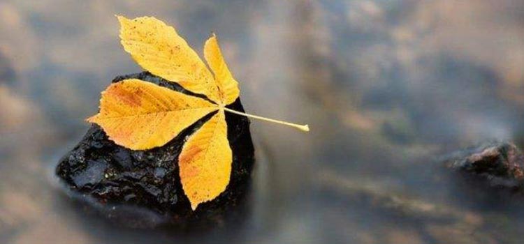 这些错误的养生知识，你都信了吗 ？