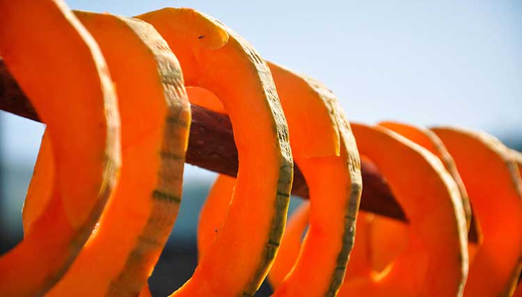 这种常见又便宜的食物，竟然是减肥神器