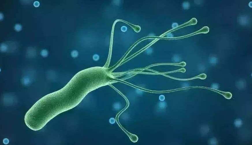 感染幽门螺杆菌或诱发胃癌，当心病菌在家庭内传播！