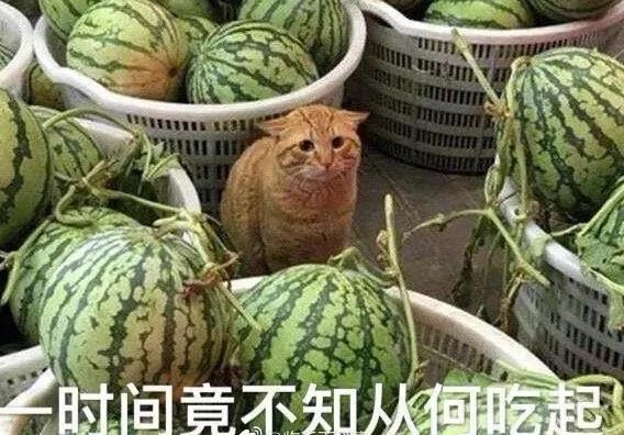 盘点娱乐圈最近的瓜~多到吃不完！！