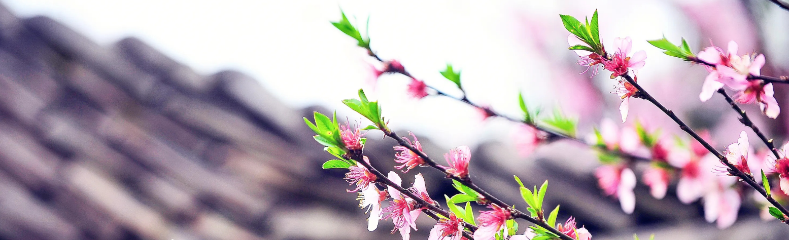 【二十四节气】春季这些节气,你都了解吗?