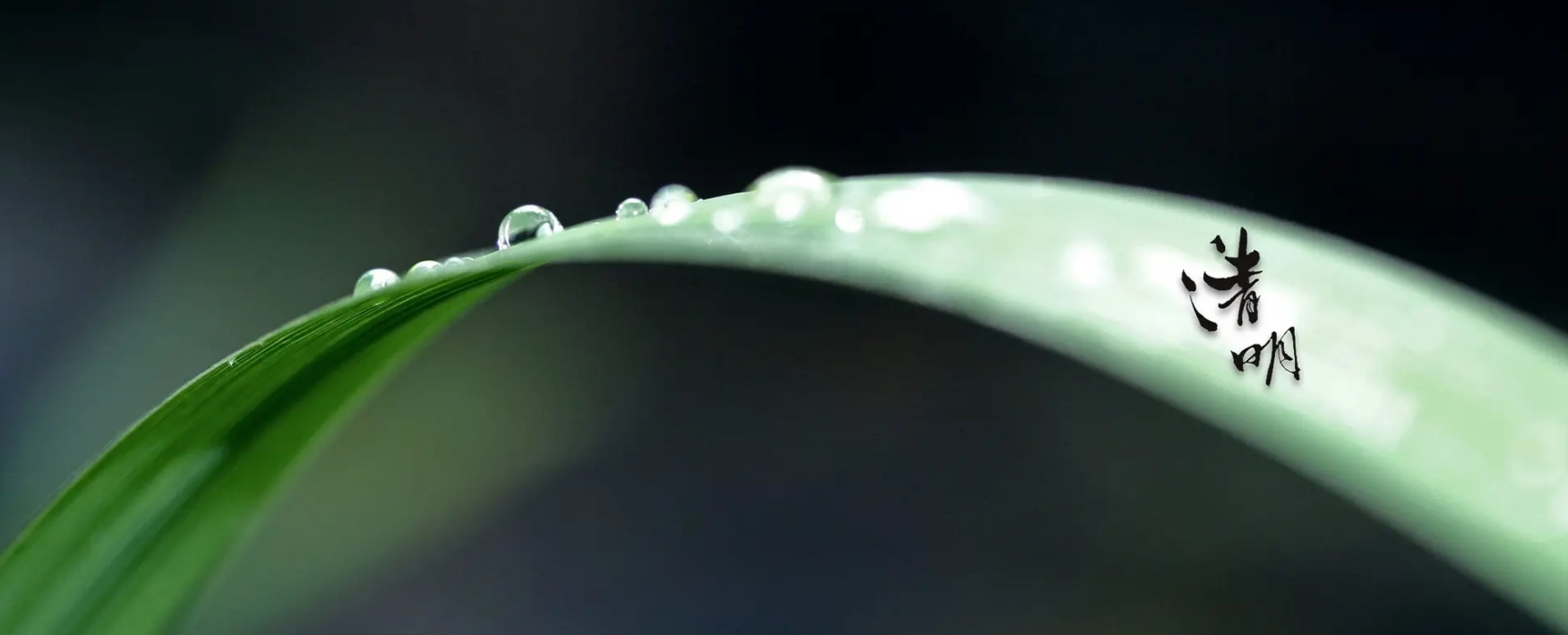 清明拒绝“雨纷纷”，踏青祭祖重防疫