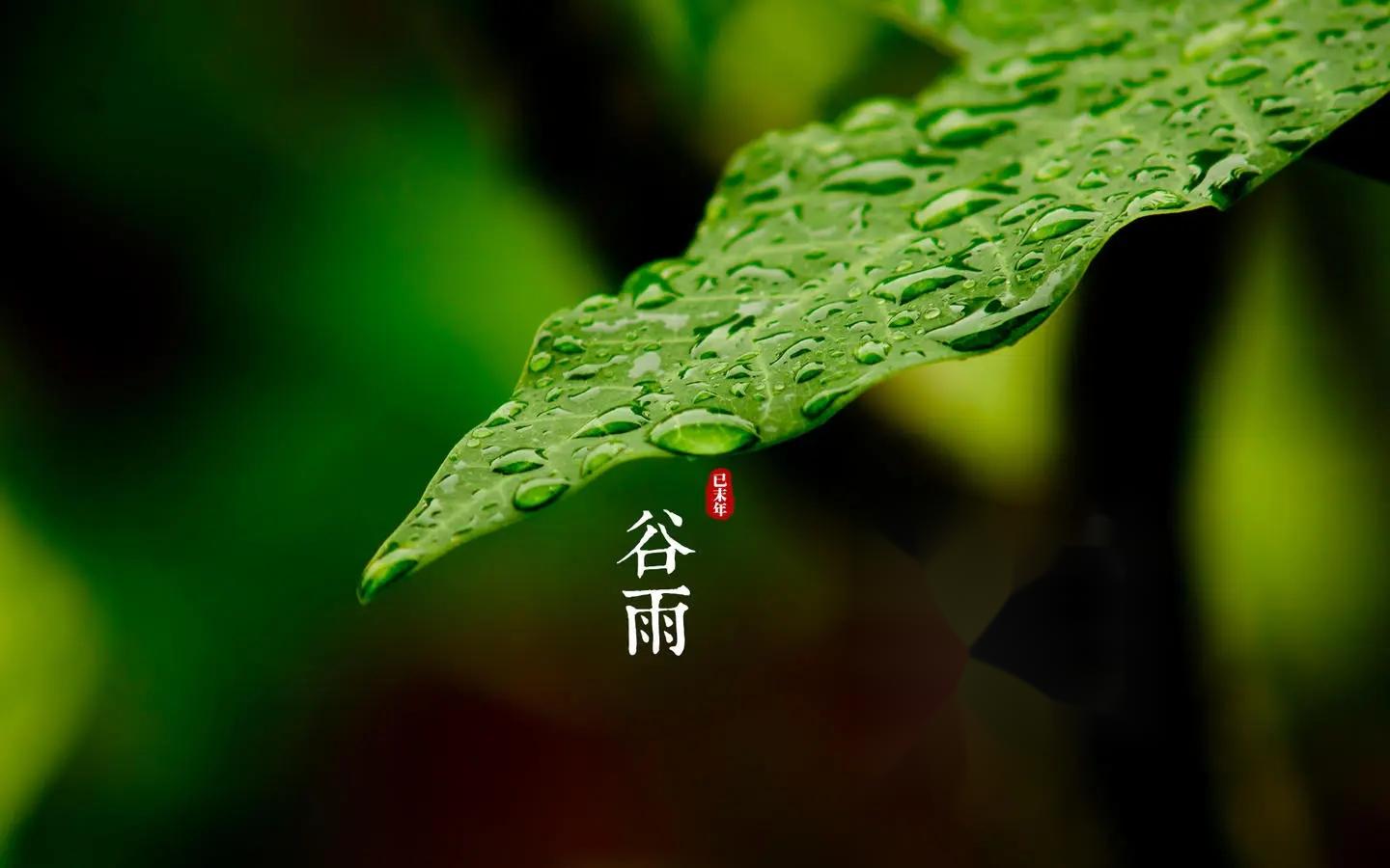 谷雨