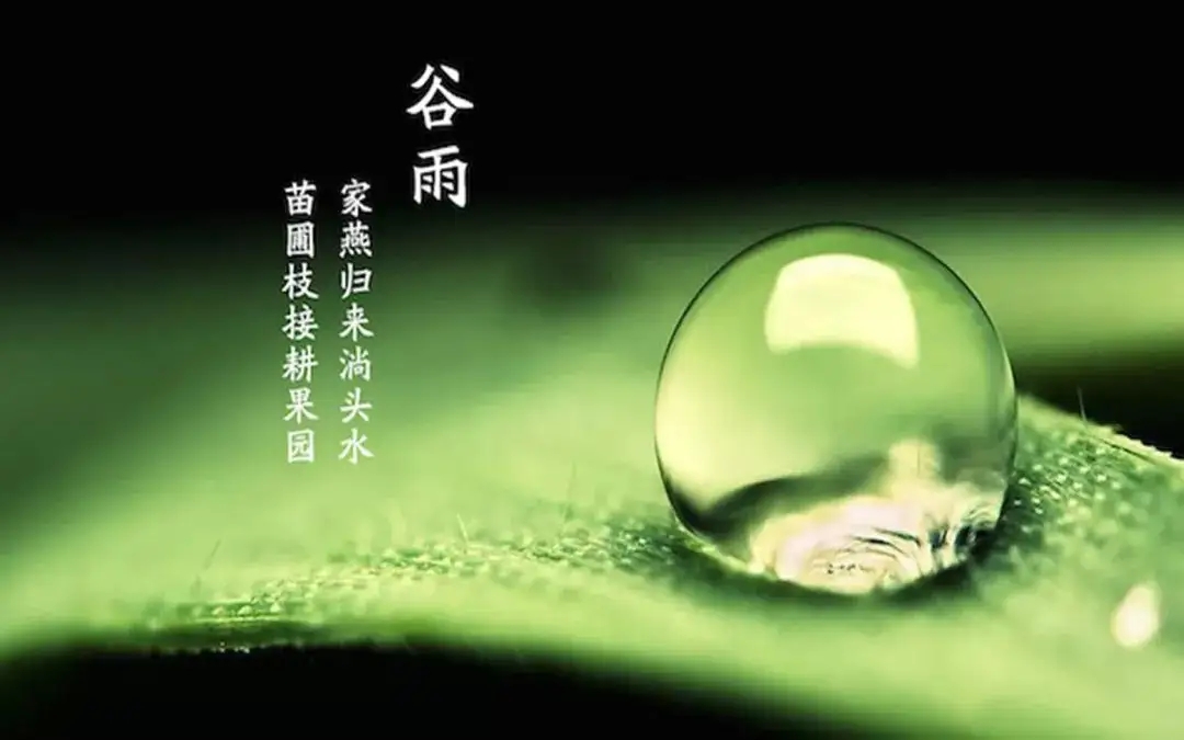 暮春谷雨迎夏日,健康养生正当时