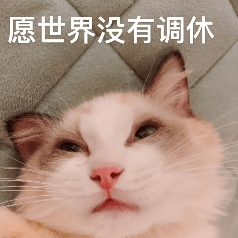 调休