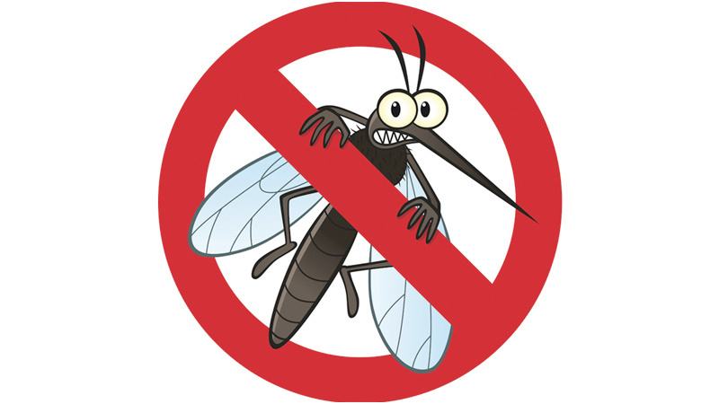 被蚊子“偏爱”的你，该如何正确驱蚊？