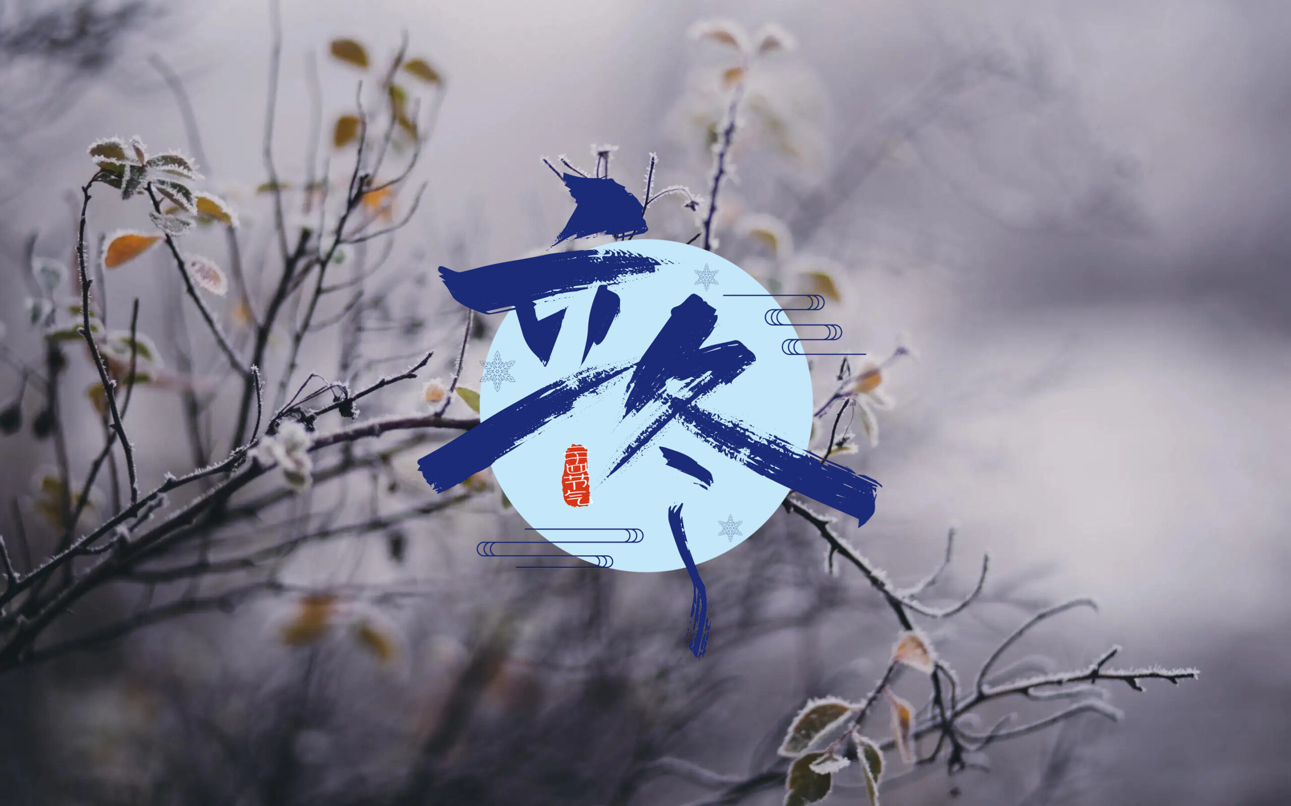 今日立冬丨秋冬交始，万物收藏