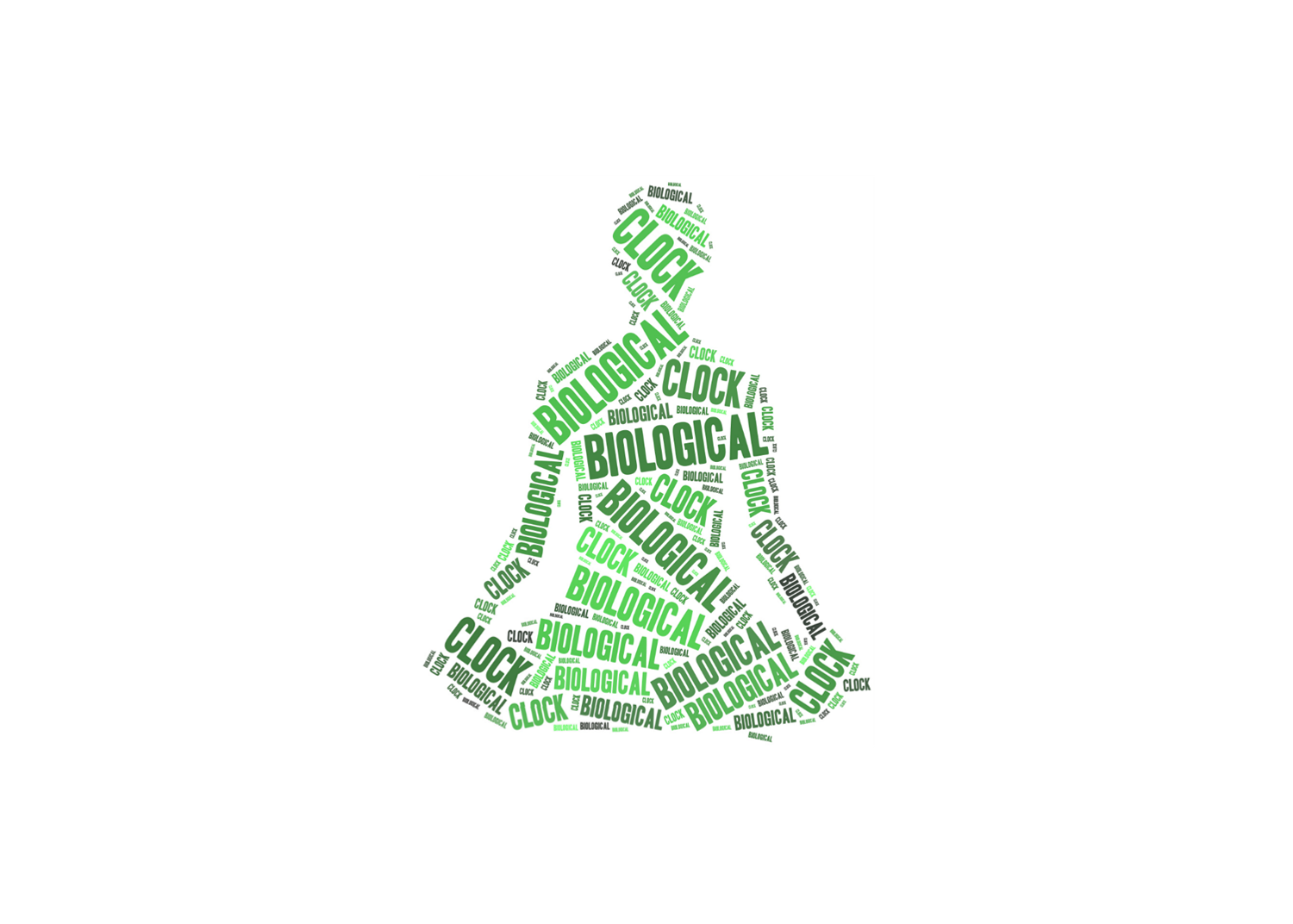 人体三节律对我们的生活有哪些影响？