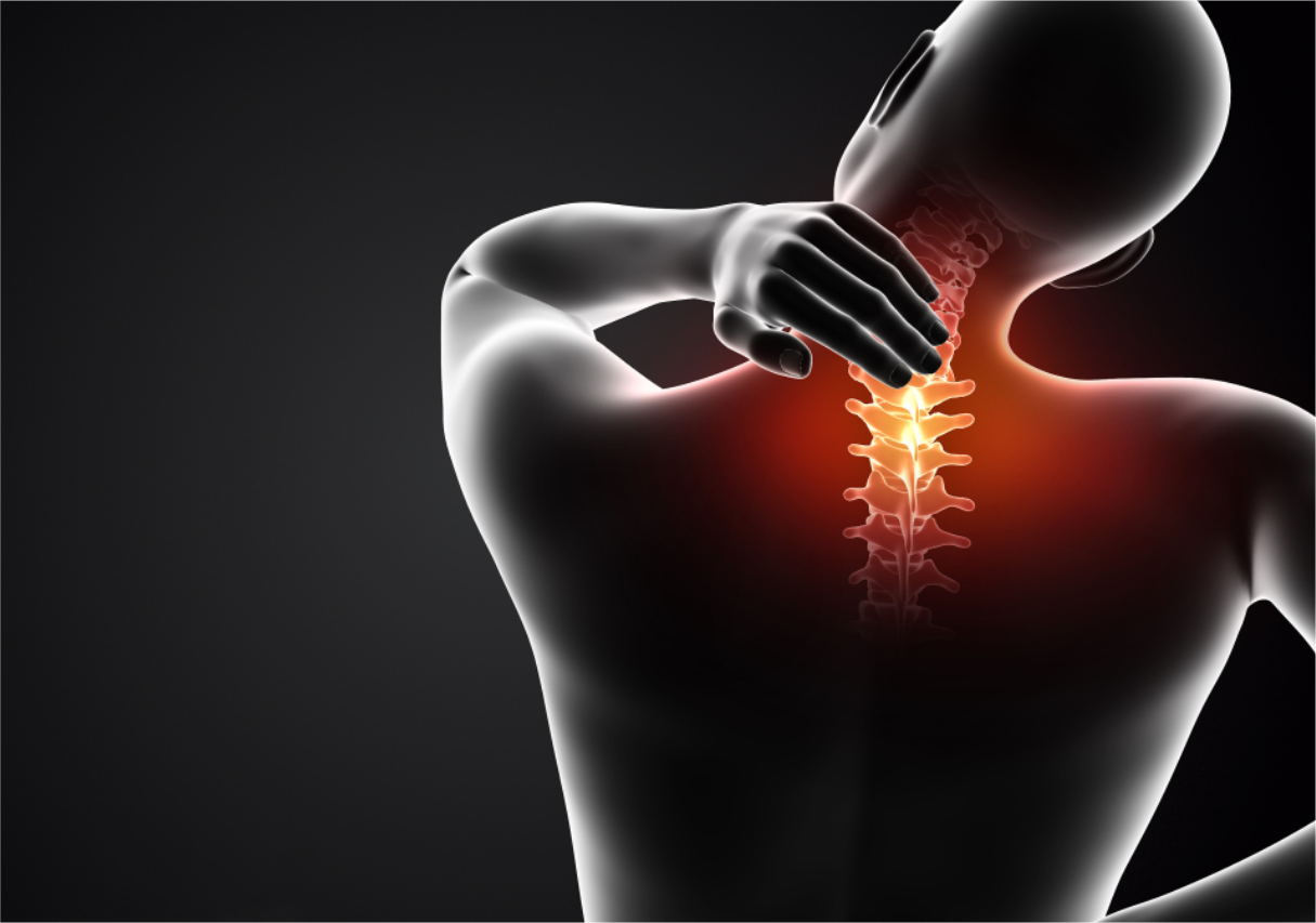 富贵包不“富贵”！拯救脖子不单单是为了好看