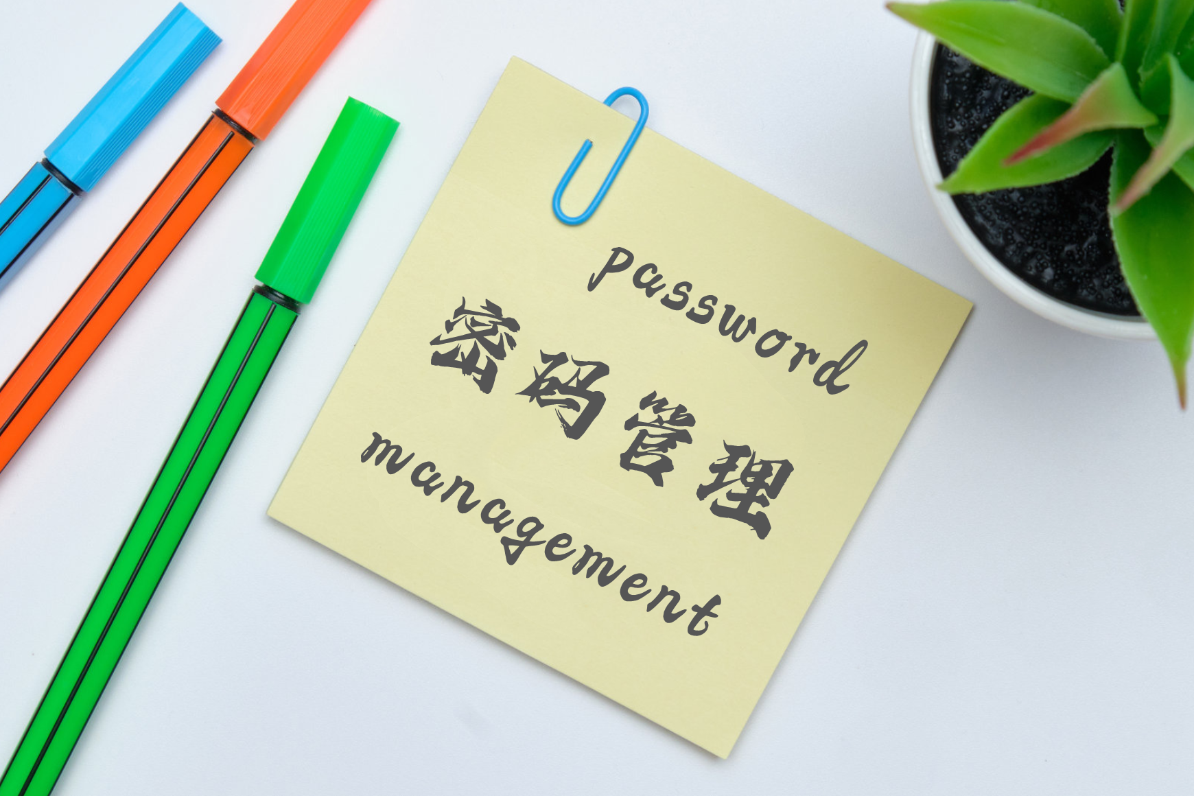 如何记录各类密码?密码管理软件选哪个?