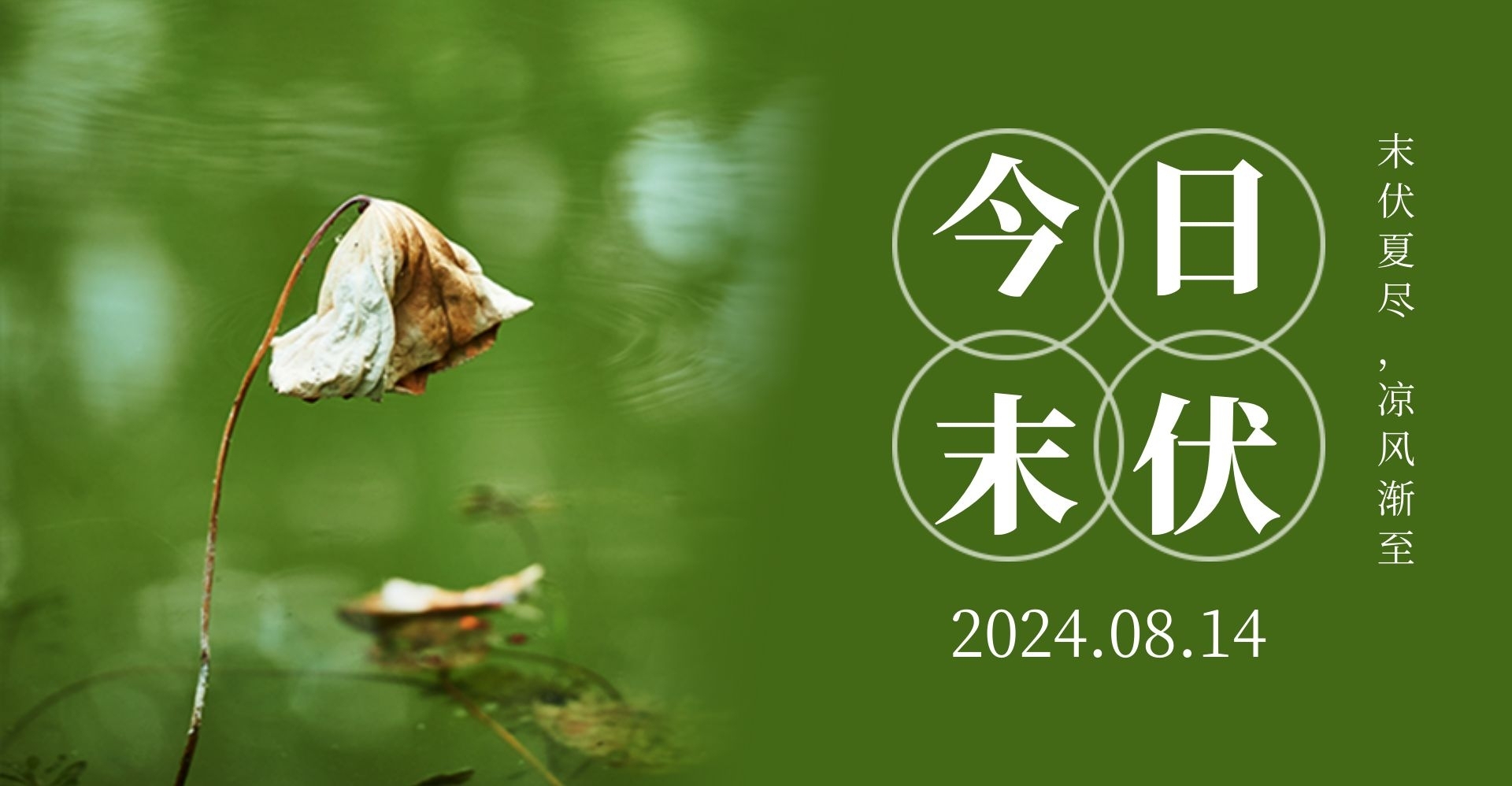 今日末伏,夏末养生正当时
