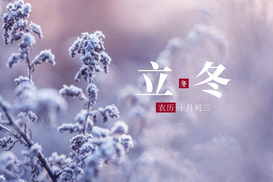 立冬前,这3样食物使劲吃:一润肺,二补水,三止咳