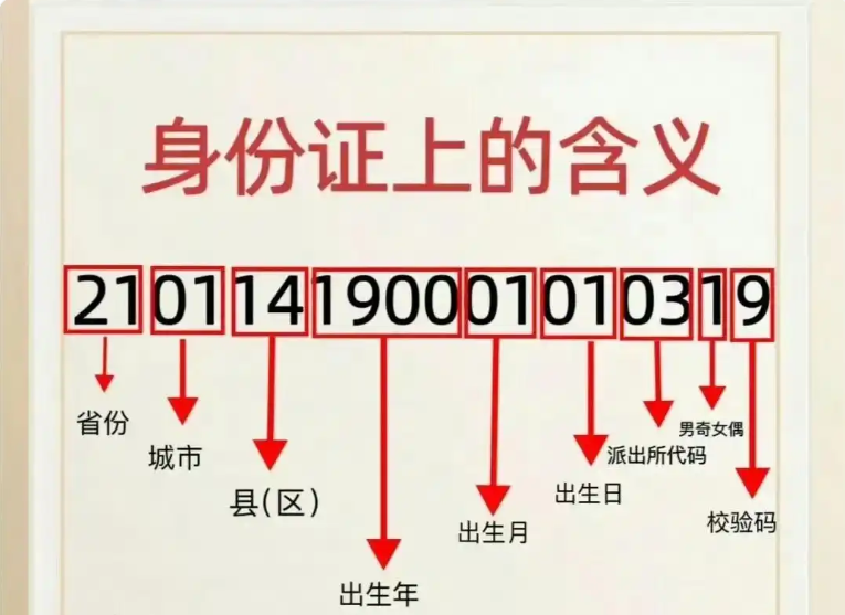 从出生到户籍:一文读懂身份证号码的18个数字含义