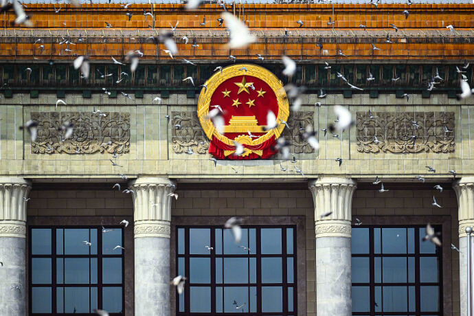 阅兵放飞的和平鸽去哪了？和平鸽的