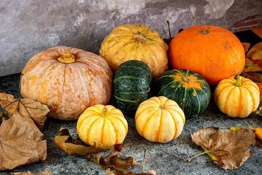 警惕！别再被这3个关于南瓜的谣言忽悠了！科学吃法一次说清