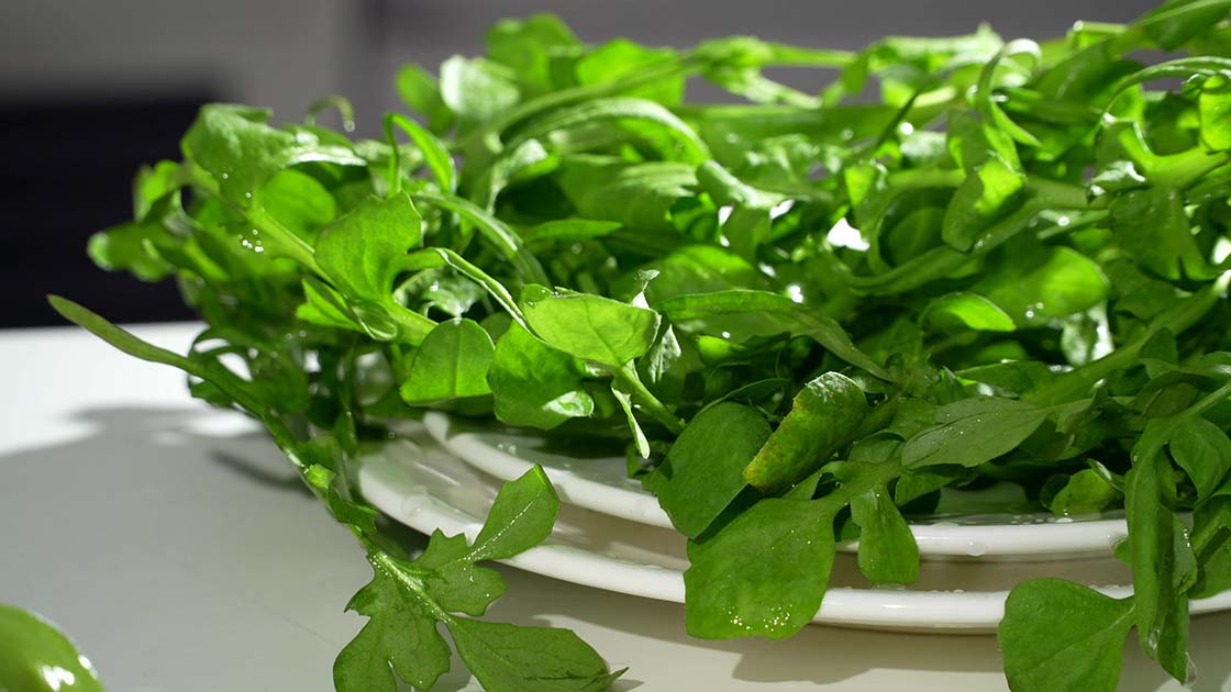 荠菜不能和什么一起吃？这3类搭配要避开，4种人少吃